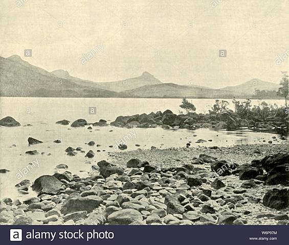 Su primer viaje a una costa tropical