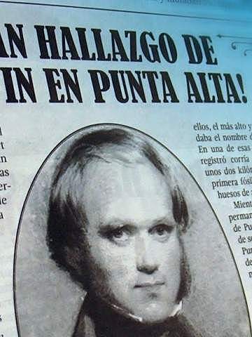 Hallazgos en Punta Alta y en los barrancos de la costa de Monte Hermoso.