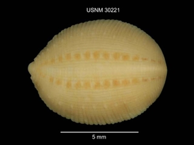 Presentó un descubrimiento