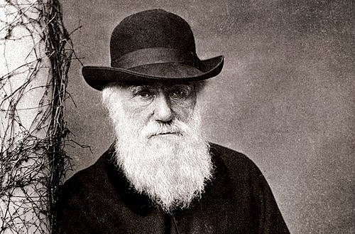 Darwin fue elegido como miembro de la Sociedad Geográfica.