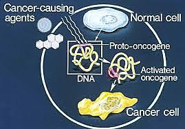 Oncogenes