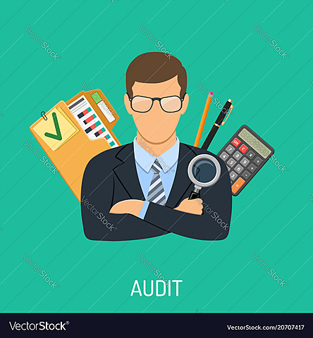 The Auditing Profession was Born