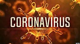 Timeline: CoronaVirus