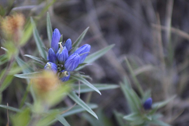 Start a career as a Photographer