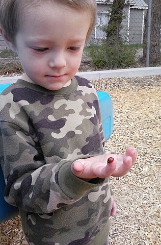 Final Brother's Birth