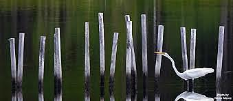 Regional population hits 12 million