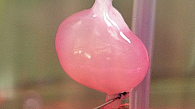 Transplante Artificial