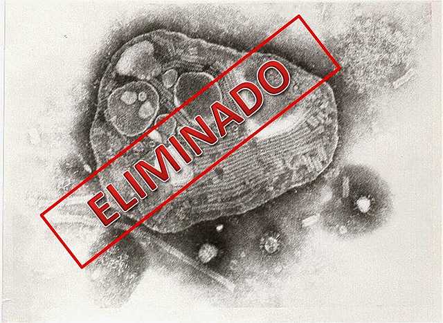 Erradicación de la viruela a través de la vacunación