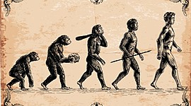 Timeline: EVOLUCIÓN DE LOS HOMÍNIDOS