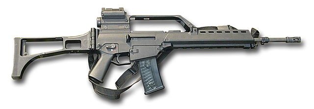 G36, Fedral Germany
