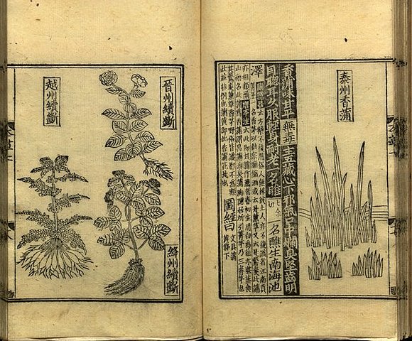 Science in the Tang Dynasty (618–906)