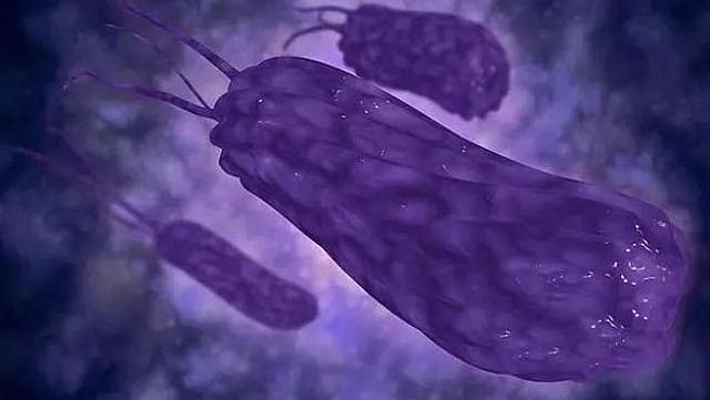 Helicobacter pylori en gastritis y úlcera péptica