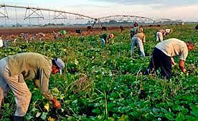 Surgimiento de movimientos