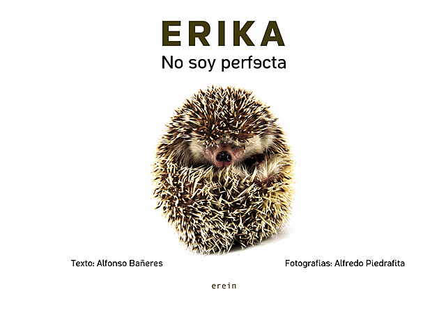 Diario de Erika