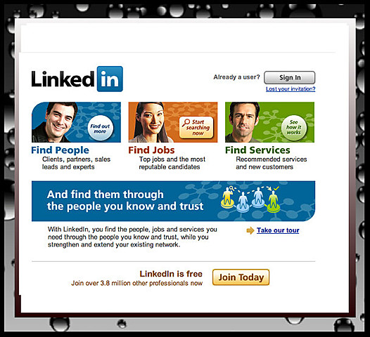 El año de los negocios para LinkedIn