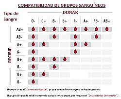 DESCUBRIMIENTO DE LOS GRUPOS SANGUÍNEOS.