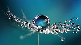 Timeline: NANOTECHNOLOGY