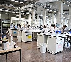 Quina carrera faré?