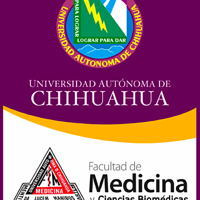 Timeline: Evolución de la Calidad en Salud