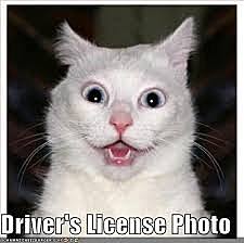 Got My Driver's License
