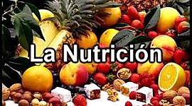 Timeline: HISTORIA DE LA NUTRICIÓN
