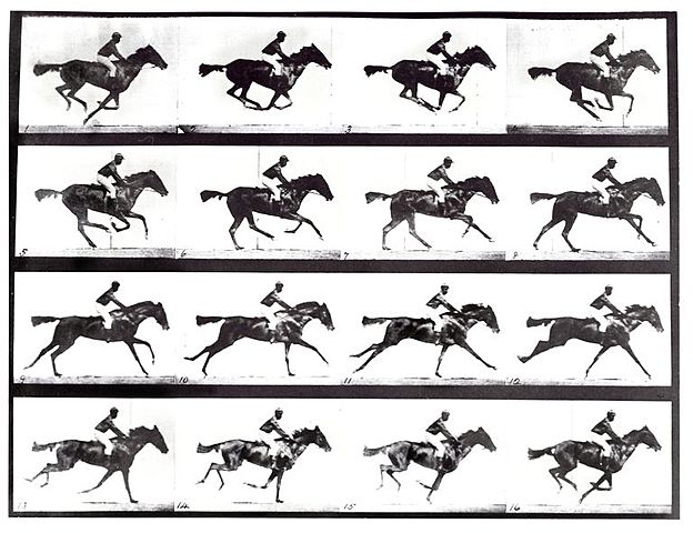 Muybridge's Moving Horse