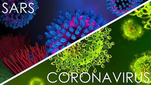 Coronavirus v SARS, a quick comparison