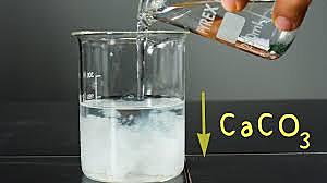 Napoleón y Berthollet