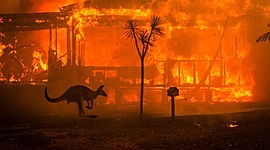 Timeline: Australia Wildfires