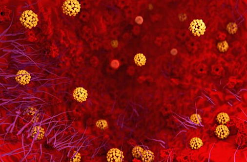 Can the new corona virus be stopped?