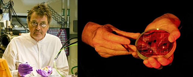 James Gimzewski entra en el libro de récords Guinness por haber inventado la calculadora más pequeña del mundo.