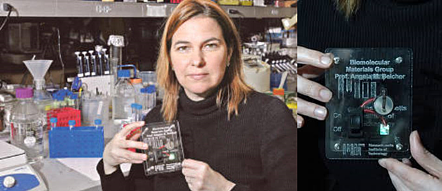 Batería de iones de litio