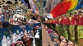 Timeline: La Diversidad Cultural