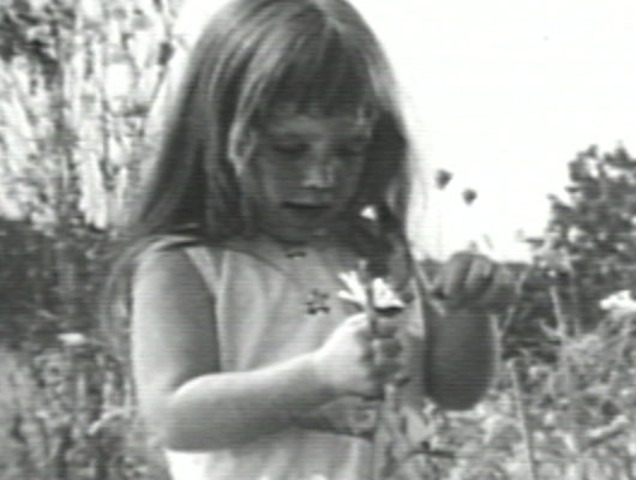 Johnson Vs. Goldwater: Election fo 1964