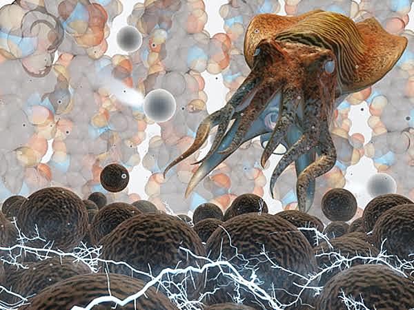 Creación de electrodos biodegradables