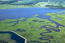 U.S. Environmental Protection Agency can set pollution limits for the bay