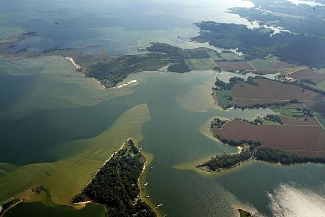 Bay sees worst dead zone in the past five years