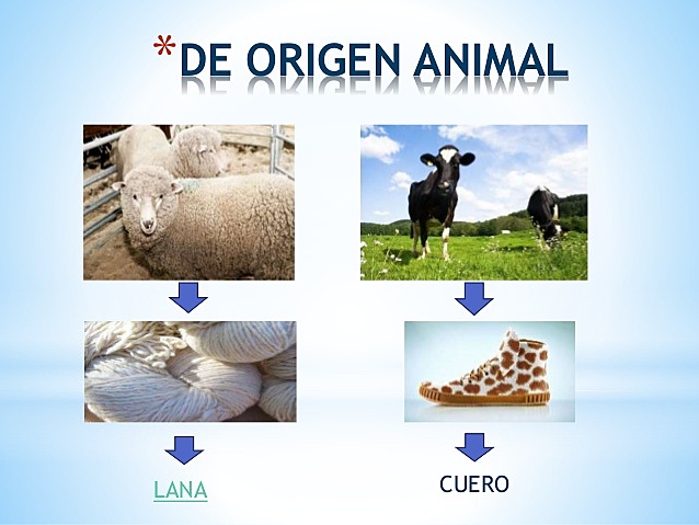 Materiales de origen animal