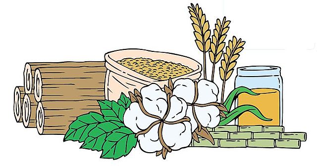 MATERIALES DE ORIGEN VEGETAL