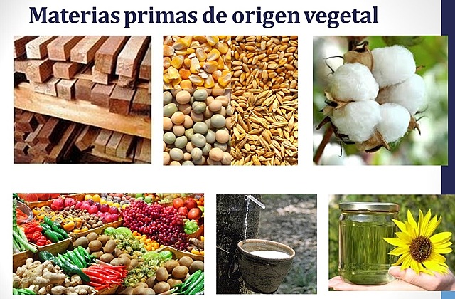 MATERIALES DE ORIGEN VEGETAL
