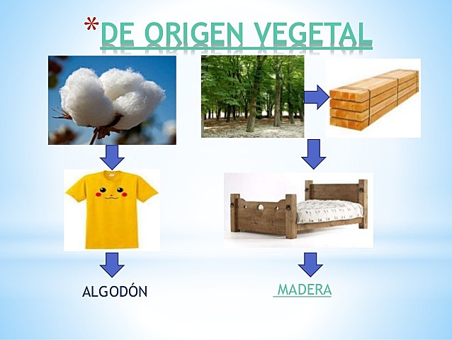 Materiales de origen vegetal