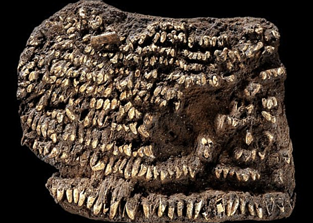 El bolso más antiguo del mundo