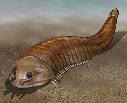 Cambio en Tamaño del Cerebro