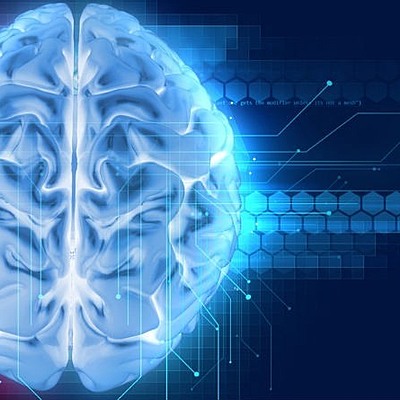 Timeline: El cerebro - Cristian Camilo Ramirez