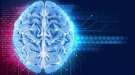 Timeline: El cerebro - Cristian Camilo Ramirez