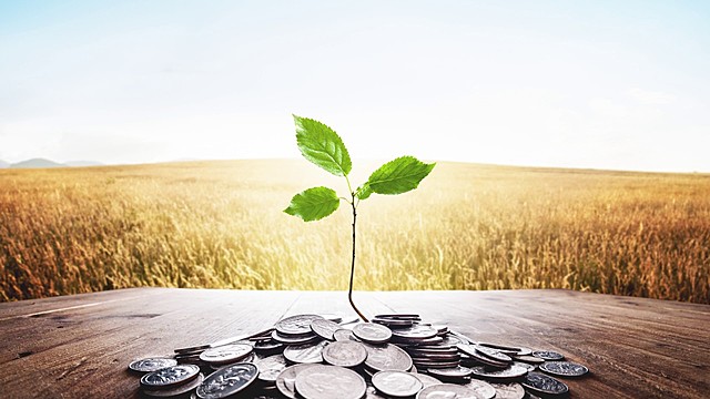 Origen del desarrollo sustentable