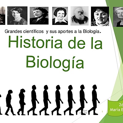 Timeline: linea de tiempo