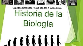 Timeline: linea de tiempo