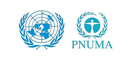 PROGRAMA NACIONES UNIDAS PARA EL MEDIO AMBIENTE