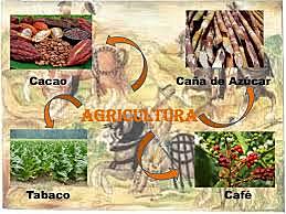 Comercialización de artículos